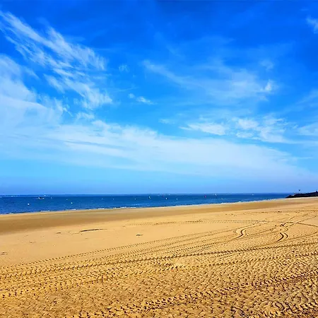 T3 Neuf A : Terrasse, Parking Et Wifi - Fr-1-420-153 * Arcachon