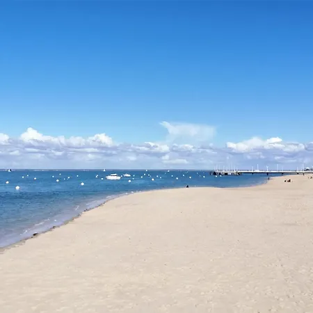 T3 Neuf à : Terrasse, Parking Et Wifi - Fr-1-420-153