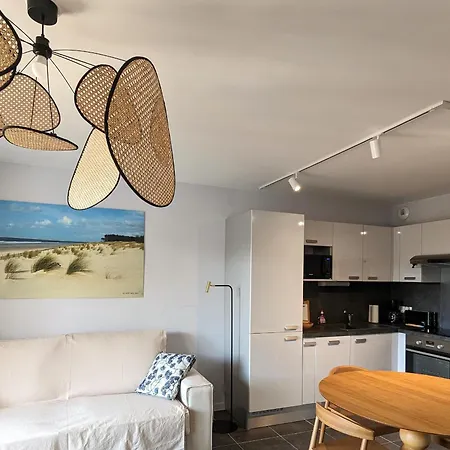 T3 Neuf A : Terrasse, Parking Et Wifi - Fr-1-420-153 Daire Arcachon