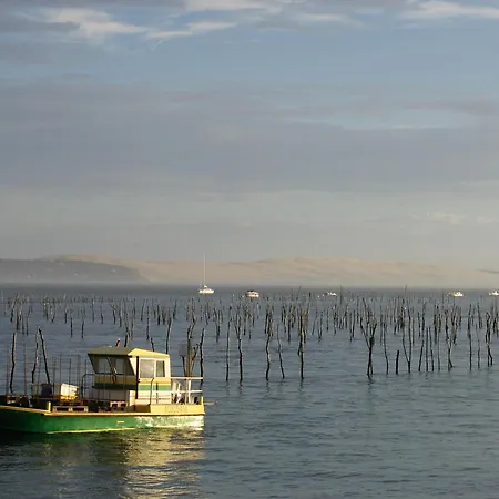 T3 Neuf A : Terrasse, Parking Et Wifi - Fr-1-420-153 Daire Arcachon