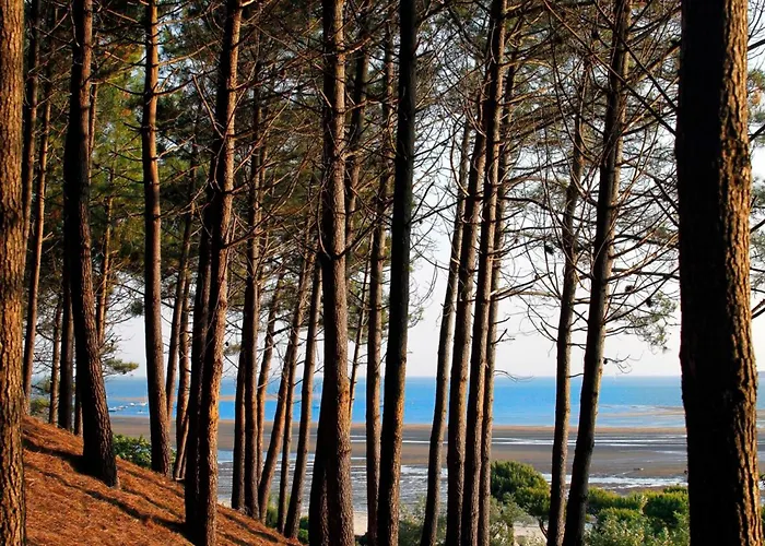 T3 Neuf à : Terrasse, Parking Et Wifi - Fr-1-420-153 *