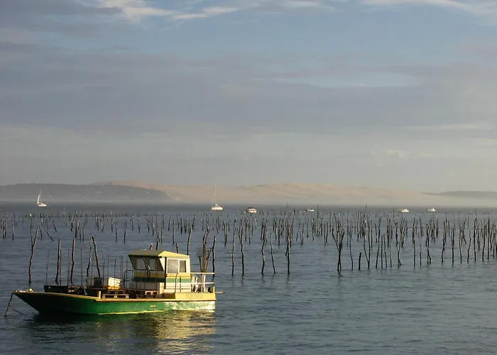 T3 Neuf A : Terrasse, Parking Et Wifi - Fr-1-420-153 * Arcachon